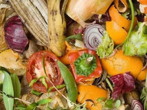 Industrial Kitchen Organic Food Vegetable Waste Shredder For Sale